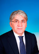 Информация об Эмиргамзаеве Абдулгамиде Гасановиче